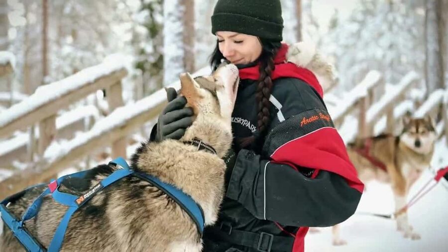 Rovaniemi: Husky Sled Ride and Farm Visit - Farm Time: Cuddles, Photos, and Real Husky Training Talk