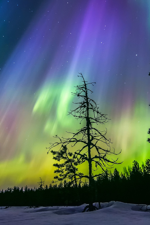 Rovaniemi: Ice Floating in Forest Lake with Aurora Borealis - Floating on icy water: safety, spotting the aurora, and photo help