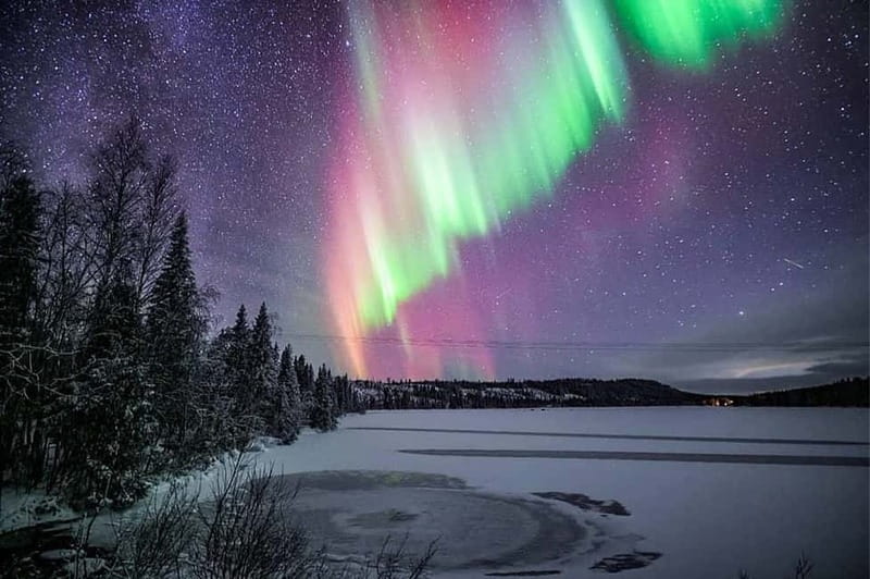 Rovaniemi: Ice Floating in Forest Lake with Aurora Borealis - Price and value: is $142 per person worth it?