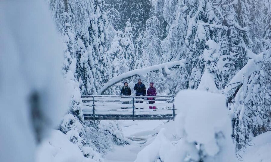 Rovaniemi: Korouoma Canyon and Frozen Waterfalls Tour - Who This Tour Suits Best, and Who Should Skip It