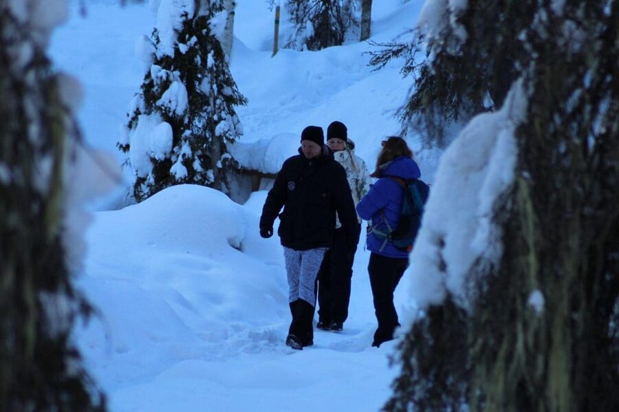 Rovaniemi: Korouoma Canyon Frozen Waterfalls Guided Hike - Who Should Book This Korouoma Frozen Waterfalls Hike