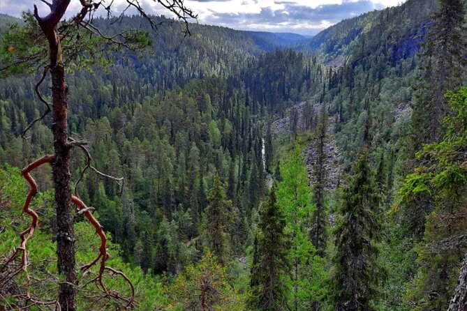Rovaniemi Korouoma Canyon Hike and Barbecue Experience - Key highlights