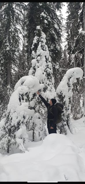 Rovaniemi: Korouoma Frozen Waterfalls Hike & Hot BBQ Lunch - Korouoma Canyon, 110 Kilometers From Rovaniemi