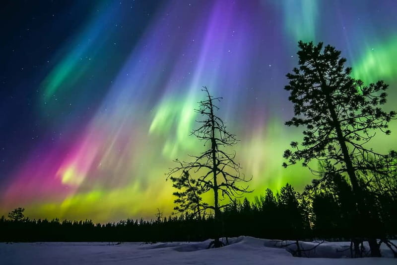 Rovaniemi: Lakeside Private Sauna with Aurora Borealis - Key Things I’d Prioritize Before You Go