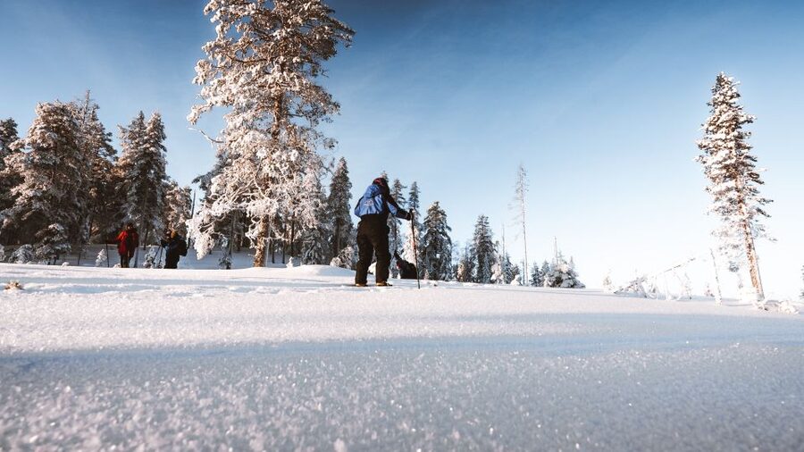 Rovaniemi: Lapland Ski Trekking Safari - Your 4-hour flow: safety, skill practice, then real wilderness time