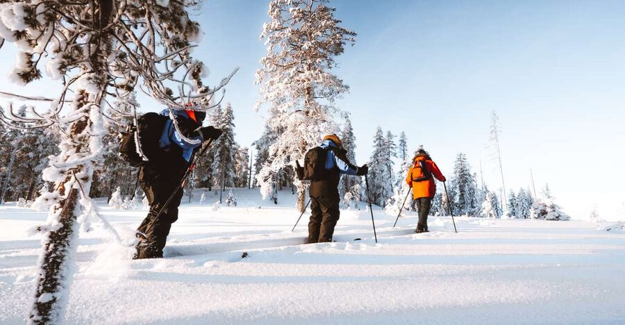 Rovaniemi: Lapland Ski Trekking Safari - The campfire snack stop: hot drinks, sausage-style camp food, and a warm reset
