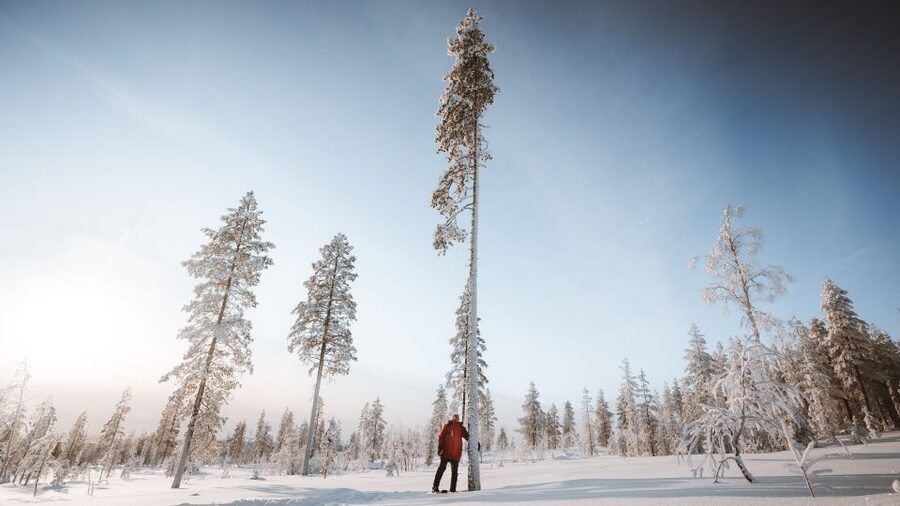 Rovaniemi: Lapland Ski Trekking Safari - How steep and technical is it really?
