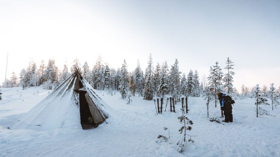 Rovaniemi: Lapland Ski Trekking Safari - Price and value: what $128 includes, and why it feels fair