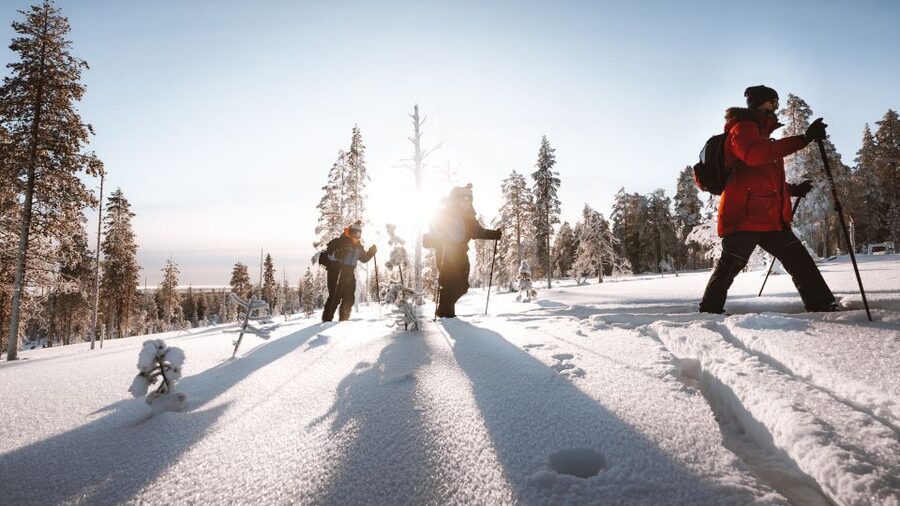 Rovaniemi: Lapland Ski Trekking Safari - What back-country skis change (and why it helps beginners)