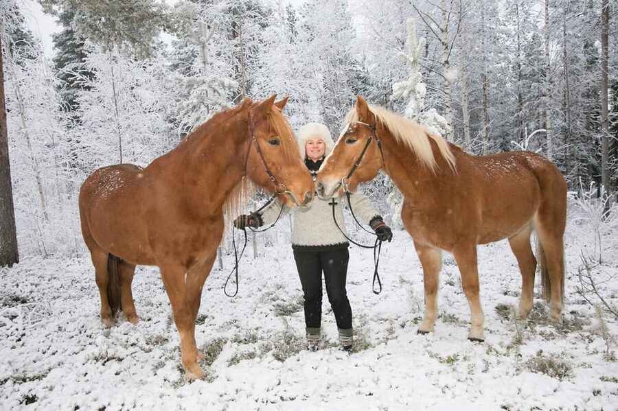 Rovaniemi: Late Night Ride with Finnhorses - Key highlights you should care about