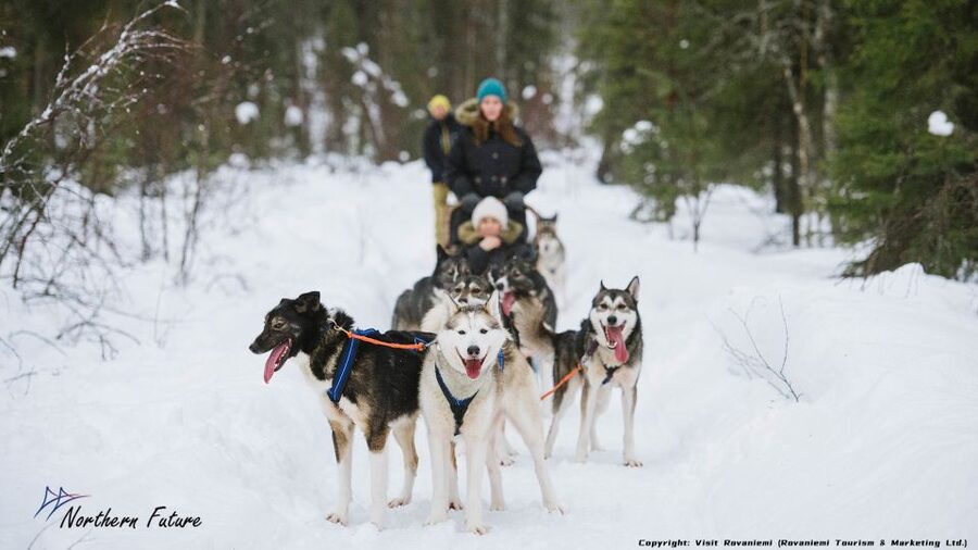 Rovaniemi: Meet Santa Claus, Reindeer Sleigh Ride & Huskies - 5 Hours in Rovaniemi: The Timing That Helps (and the timing that can frustrate)