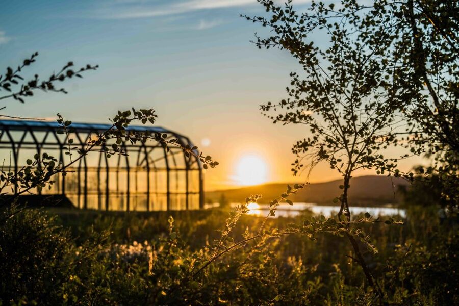 Rovaniemi: Midnight Sun Photography Tour - Small Group Value, Pickup, and What’s Covered