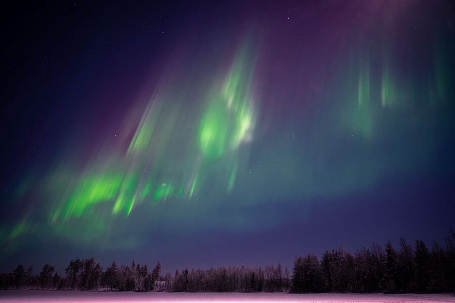 Rovaniemi: Night Sky lappish Barbecue - Firelit aurora viewing: warmth that helps you actually watch