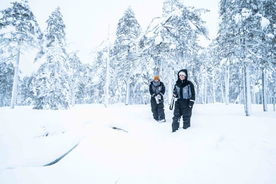 Rovaniemi: Nordic Forest Wilderness Adventure - Rovaniemi’s Nordic forest feels remote fast