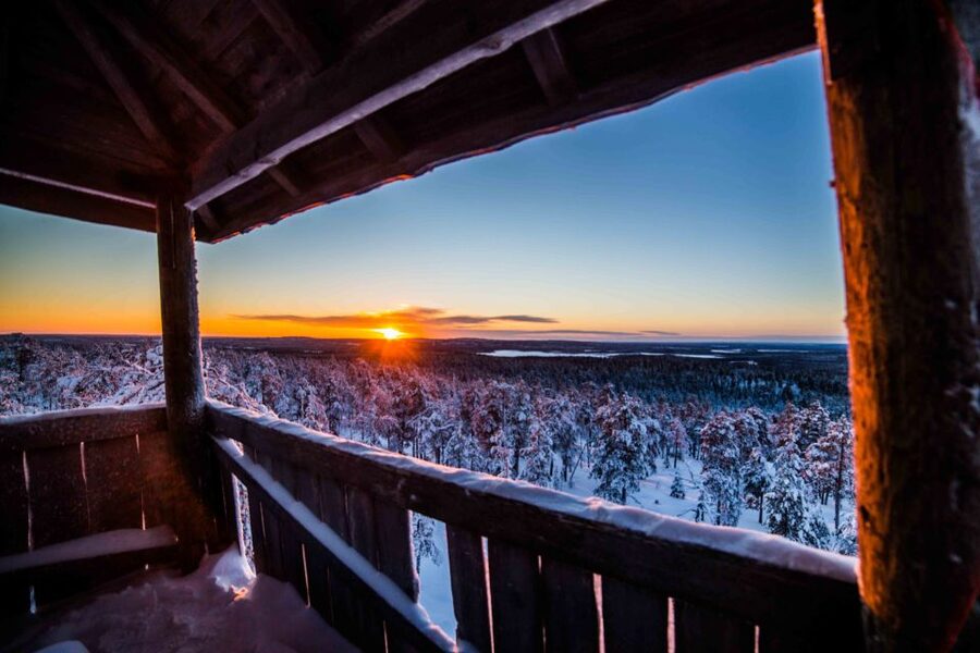 Rovaniemi: Nordic Forest Wilderness Adventure - The Vikaköngäs start: photo stops and guided walking