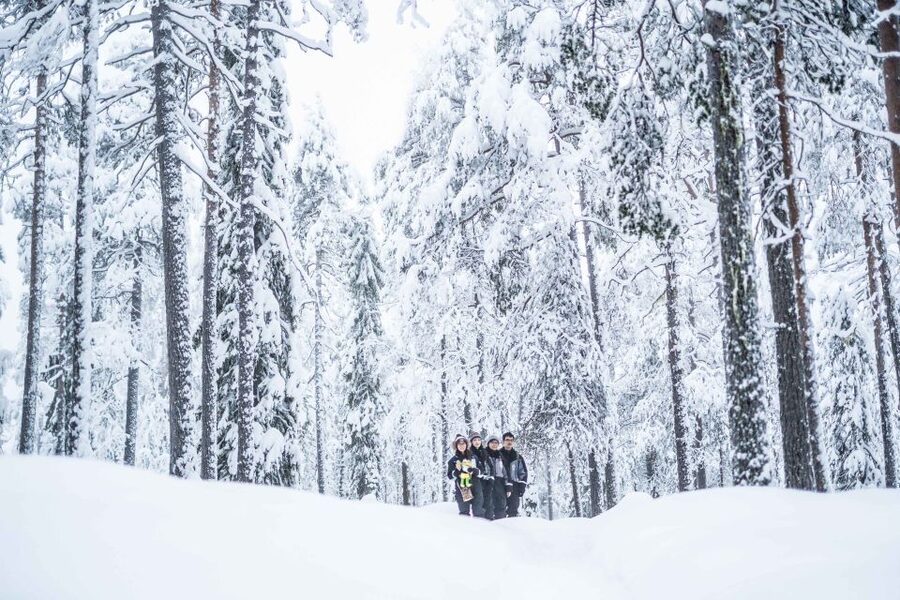 Rovaniemi: Nordic Forest Wilderness Adventure - Up the Arctic fell to the sightseeing tower