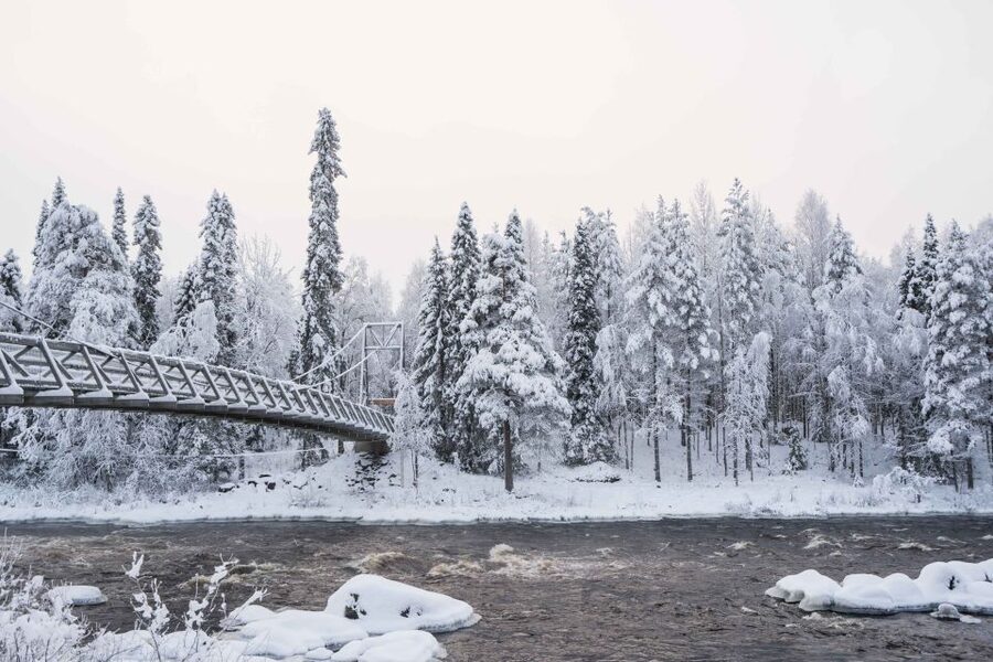 Rovaniemi: Nordic Forest Wilderness Adventure - Getting the most out of a photography-first hike