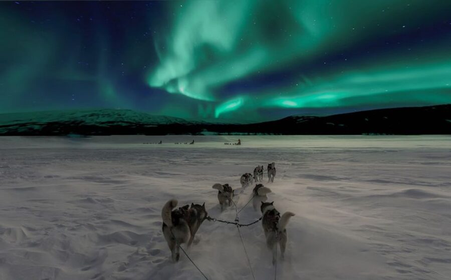 Rovaniemi: Northern Lights and Husky Sleigh Ride - Key things to know before you go