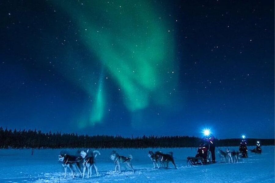 Rovaniemi: Northern Lights and Husky Sleigh Ride - My booking advice: should you choose this husky and aurora night?