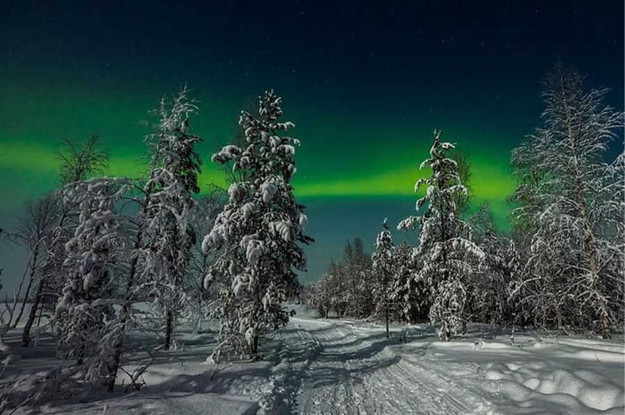 Rovaniemi: Northern Lights and Husky Sleigh Ride - The husky sleigh ride: what the 5-km run is really like