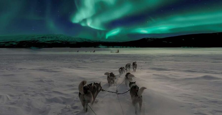 Rovaniemi: Northern Lights and Husky Sleigh Ride - Winter gear and that hot blueberry juice moment