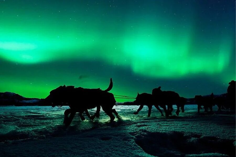 Rovaniemi: Northern Lights and Husky Sleigh Ride - Aurora searching by car: how your guide works the odds