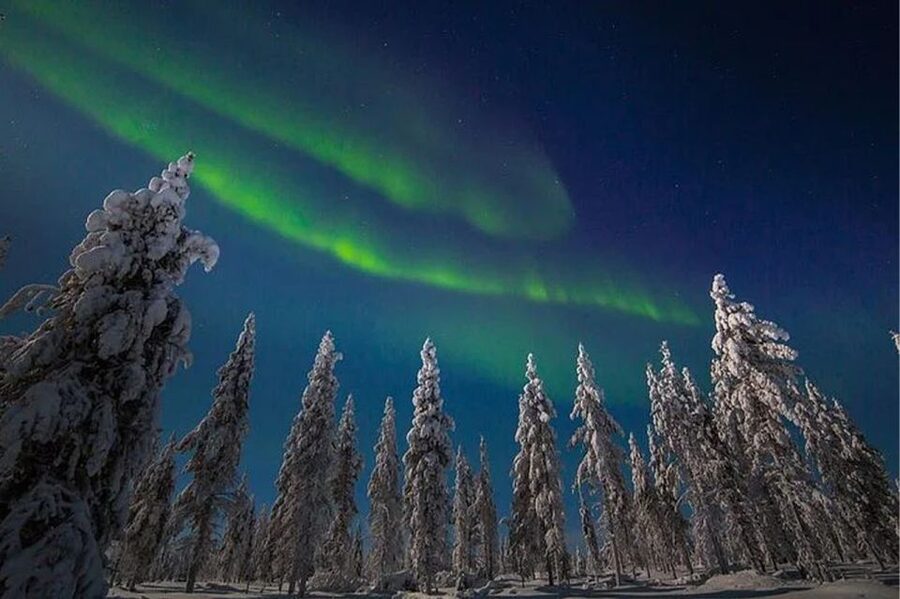 Rovaniemi: Northern Lights and Husky Sleigh Ride - Price and value check: is $269 fair for a 3.5-hour night?