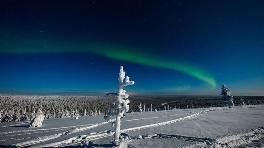 Rovaniemi: Northern Lights and Husky Sleigh Ride - What the reviews say loud and clear, and what that means for you