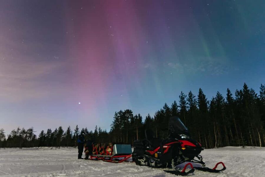 Rovaniemi: Northern Lights Family-Friendly Snowmobile Safari - Why This Rovaniemi Northern Lights Safari Fits Families