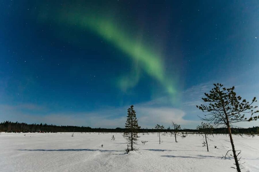 Rovaniemi: Northern Lights Family-Friendly Snowmobile Safari - Driving Setup: Two Per Snowmobile, Kids in the Sled