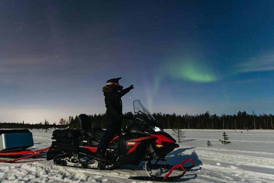 Rovaniemi: Northern Lights Family-Friendly Snowmobile Safari - The Route, the Forest Stops, and How the Evening Actually Feels