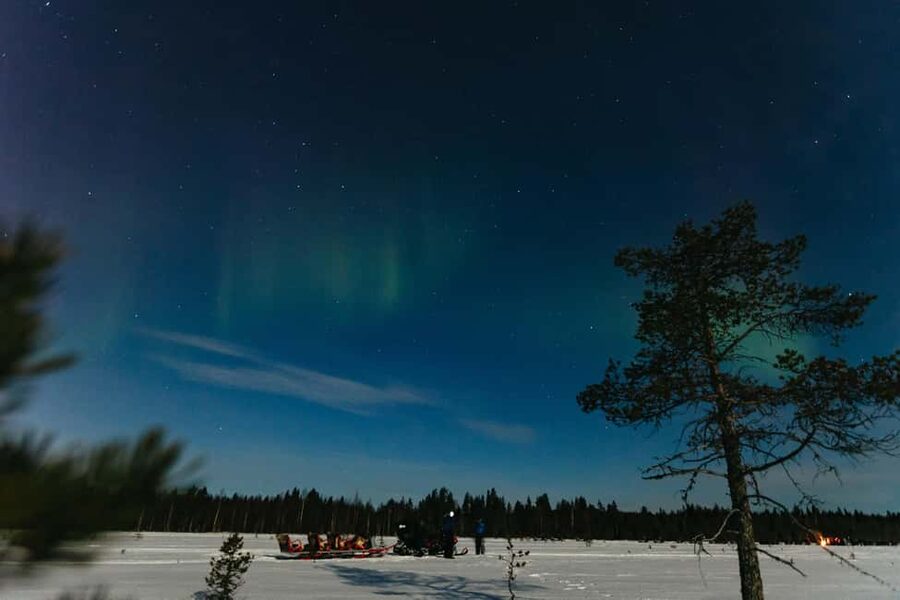 Rovaniemi: Northern Lights Family-Friendly Snowmobile Safari - Should You Book This Rovaniemi Northern Lights Family Snowmobile Safari?