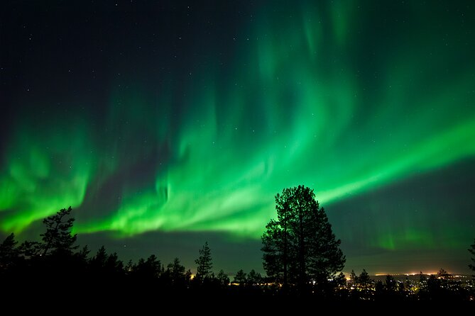 Rovaniemi: Northern Lights Group Tour - Guaranteed View - Professional Photos and the Guarantee That Changes the Math