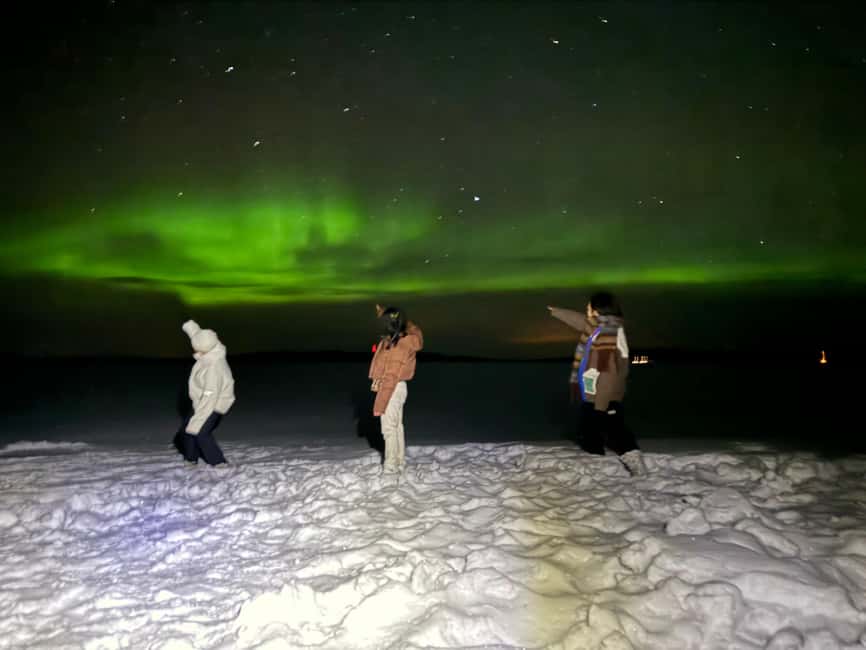 Rovaniemi:Northern Lights Hunt in Lapland Wilderness - From Rovaniemi pickup to the long, quiet drive north