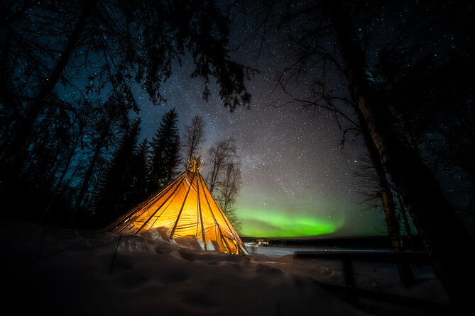 Rovaniemi Northern Lights Photography Small-Group Tour - Viewpoints, silence, and the kind of night you remember