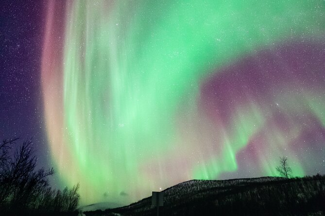 Rovaniemi: Northern Lights Pro Guaranteed - Unlimited (PRIVATE) - Aurora odds in Rovaniemi: what this tour actually tries to solve