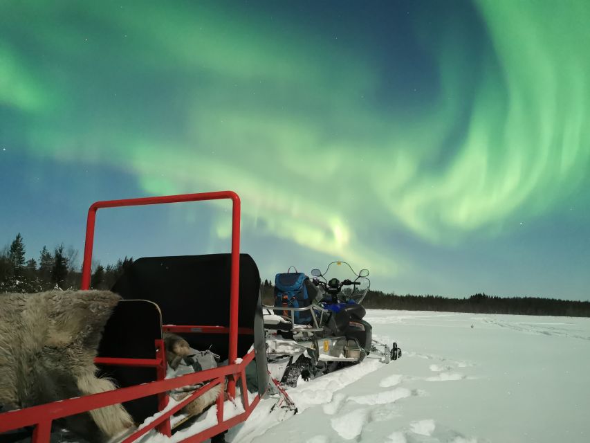 Rovaniemi: Northern Lights Sledge Ride - The 2-Hour Arctic Forest Sleigh Ride: The Main Event