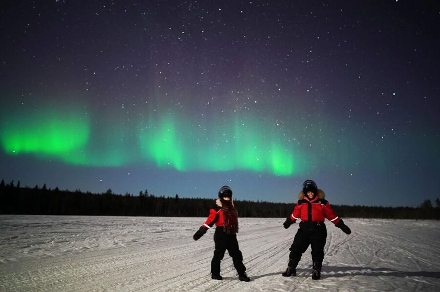 Rovaniemi: Northern Lights Sleigh Ride - Key Things I’d Focus On Before Booking