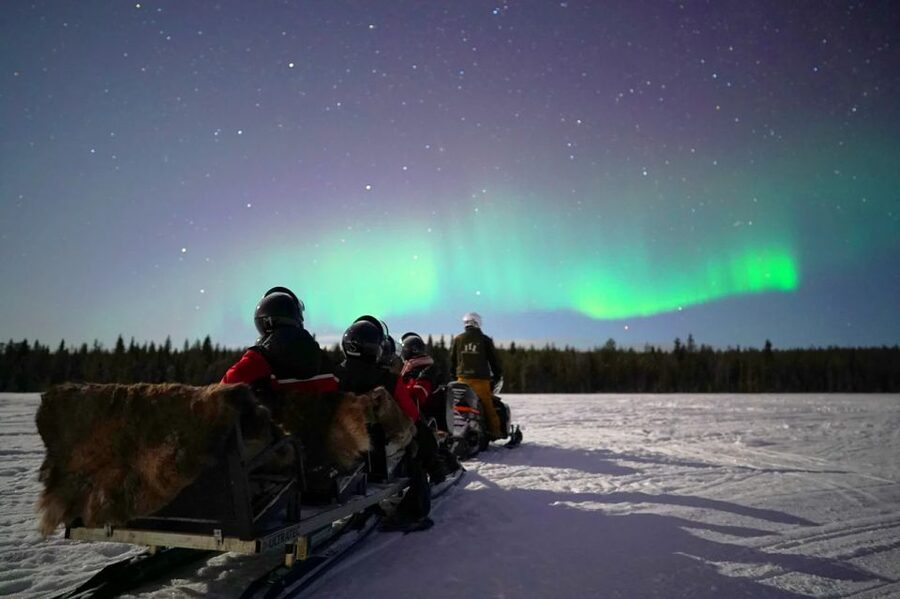Rovaniemi: Northern Lights Sleigh Ride - The Frozen Lake Wait: Snacks, Fire, and Aurora Stories
