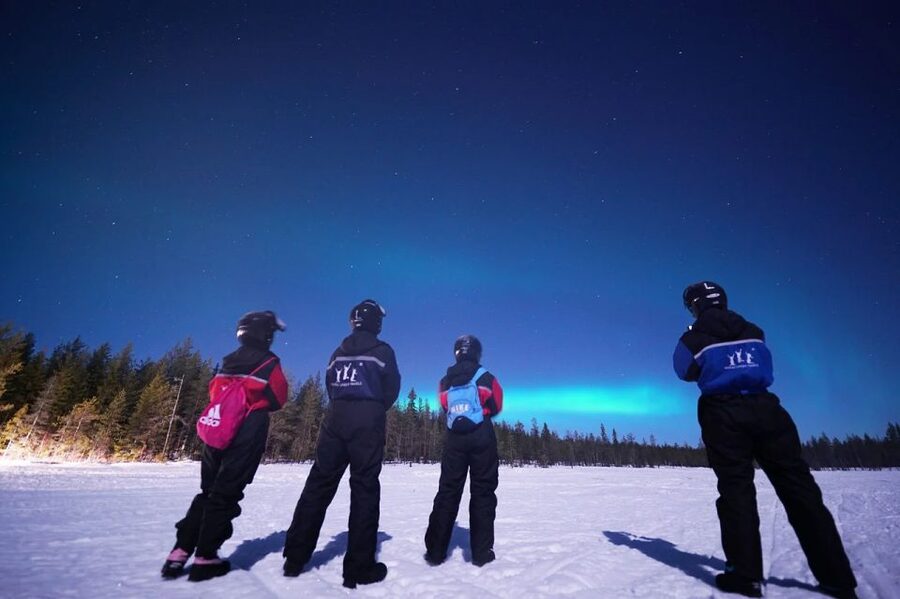 Rovaniemi: Northern Lights Sleigh Ride - Should You Book This Northern Lights Sleigh Ride?