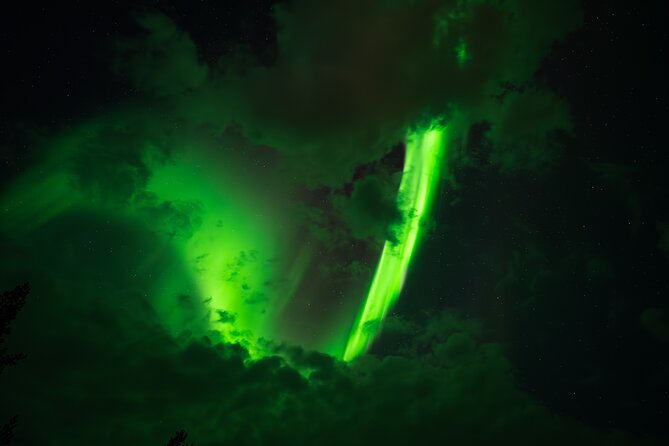 Rovaniemi: Northern Lights Small Group Money-Back Guarantee - Key things I’d plan around