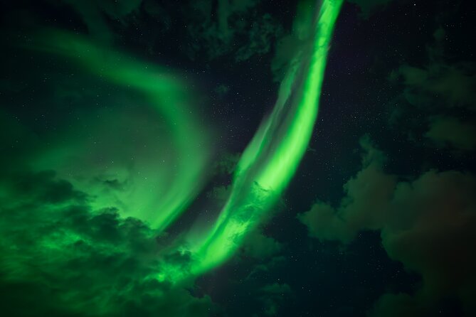 Rovaniemi: Northern Lights Small Group Money-Back Guarantee - Who Should Book This Small Group Aurora Hunt