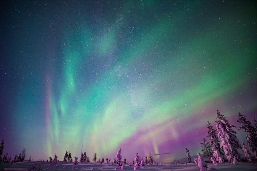 Rovaniemi: Northern Lights Snowmobile Tour - Pickup, gear, and the 4-hour timing you can plan around