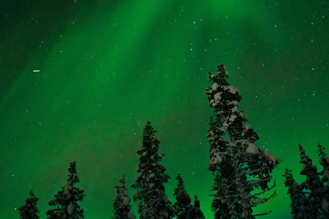 Rovaniemi: Northern Lights Tour - Why Rovaniemi’s Aurora Hunt Works Here