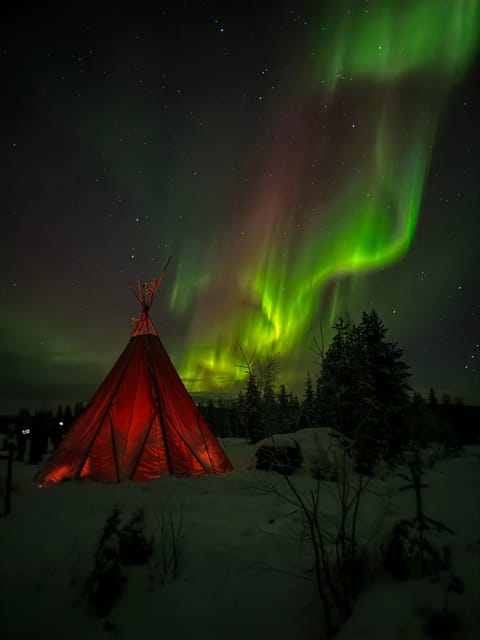 Rovaniemi: Northern Lights Tour at the Campfire - The Toilet Reality Check: No Man-Made Toilets at the Site