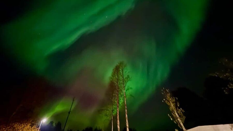Rovaniemi: Northern Lights Tour with BBQ - Photo help you can actually use