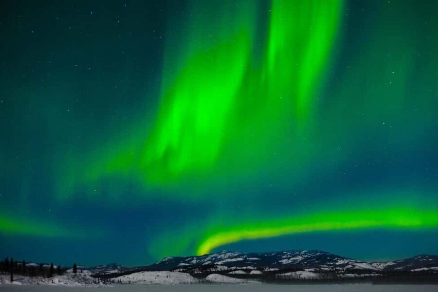 Rovaniemi: Northern Lights Tour with BBQ - Who this Rovaniemi tour fits best