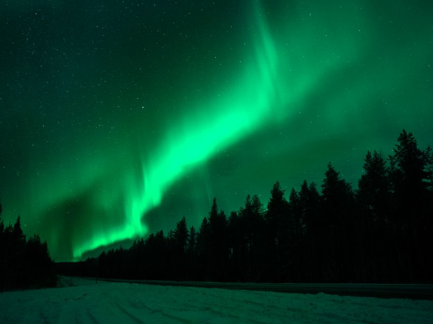 Rovaniemi: Northern Lights Tour with Guaranteed Sightings - Key Points Before You Go