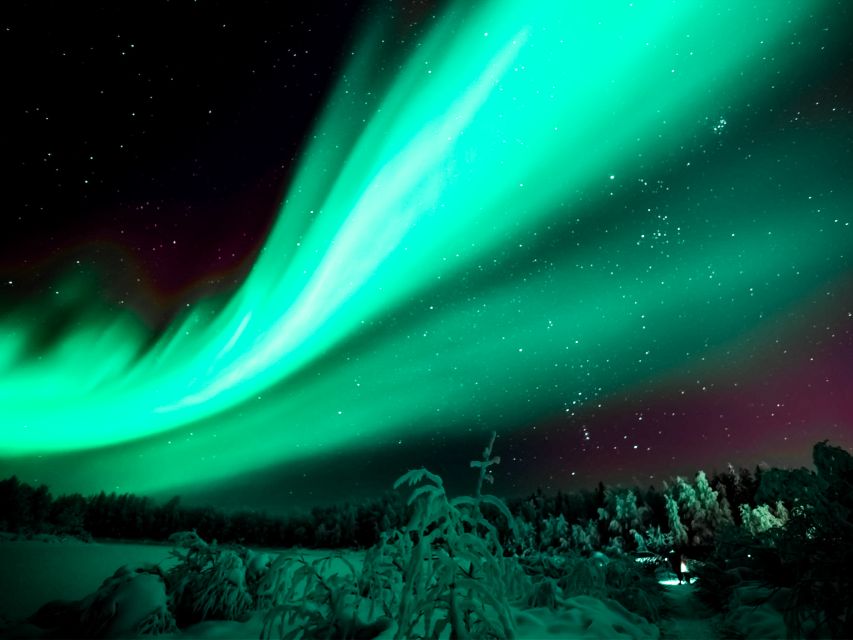 Rovaniemi: Northern Lights Tour with Guaranteed Sightings - Inside the Heated 2025 Van That Makes Waiting Bearable