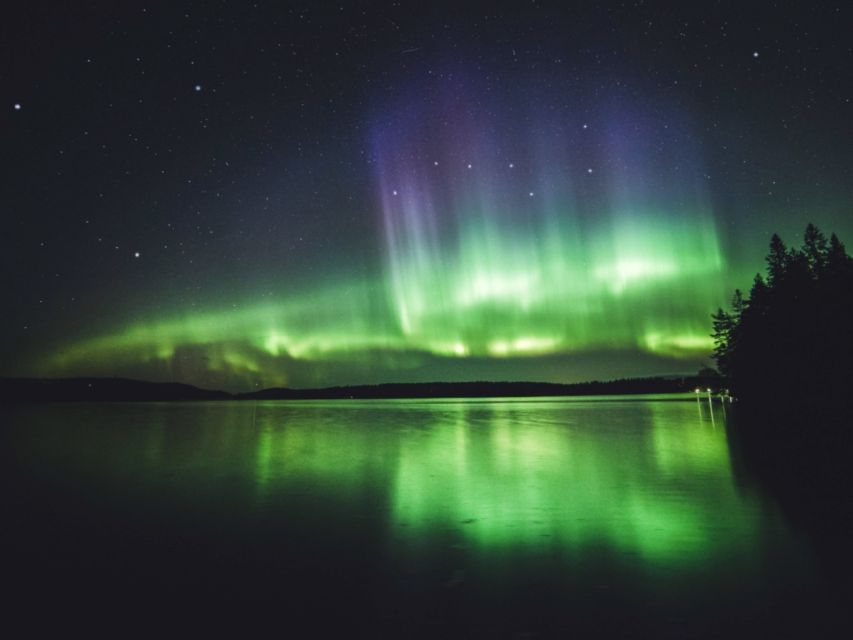 Rovaniemi: Northern Lights Tour with Guaranteed Sightings - What Happens During the Night, Stop by Stop